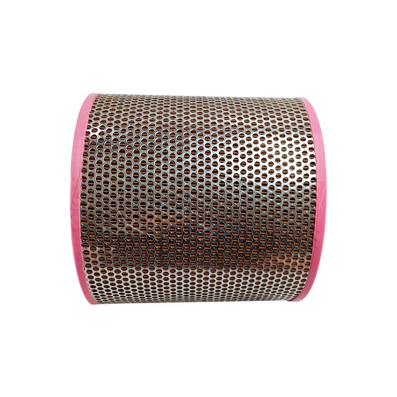 High quality air filter element ZS1096065